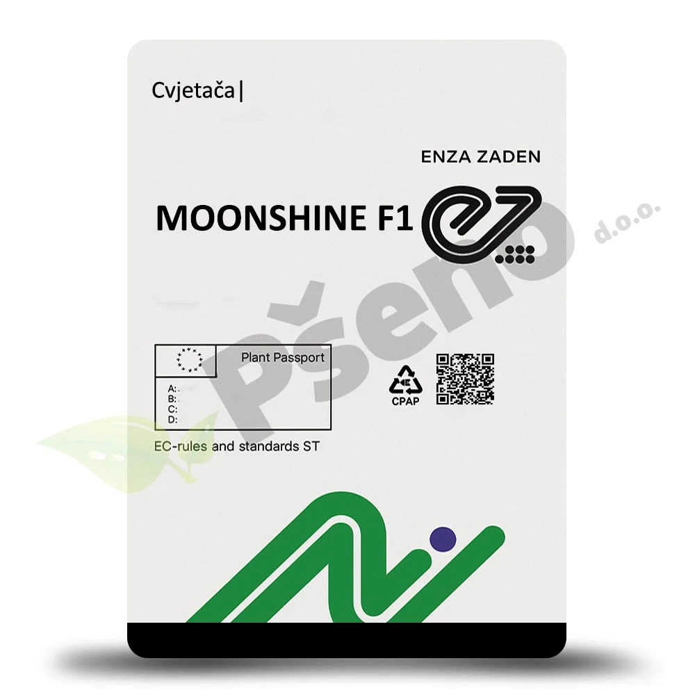 Cvjetaca MOONSHINE F1-Enza Zaden_Pseno
