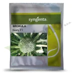 Brokula BESTY F1 Syngenta_Pseno