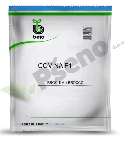 Brokula COVINA F1 Bejo Zaden_Pseno