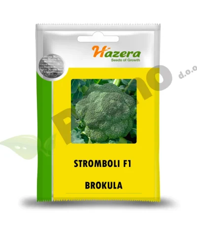 Brokula STROMBOLI F1