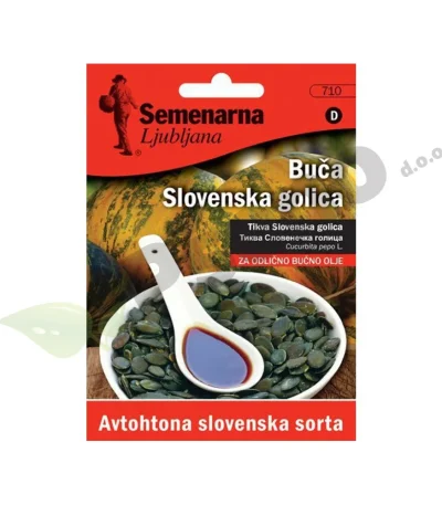 Buca SLOVENSKA GOLICA Semenarna