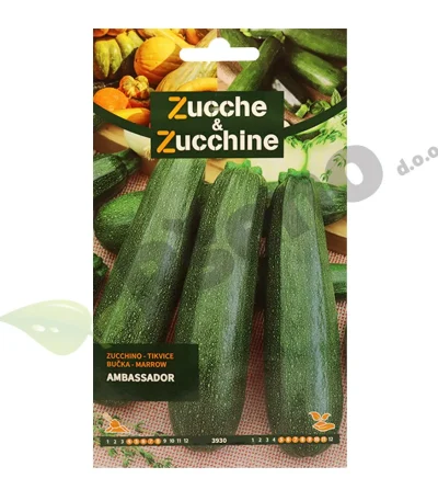 Tikvica AMBASSADOR - Zucche & Zucchine