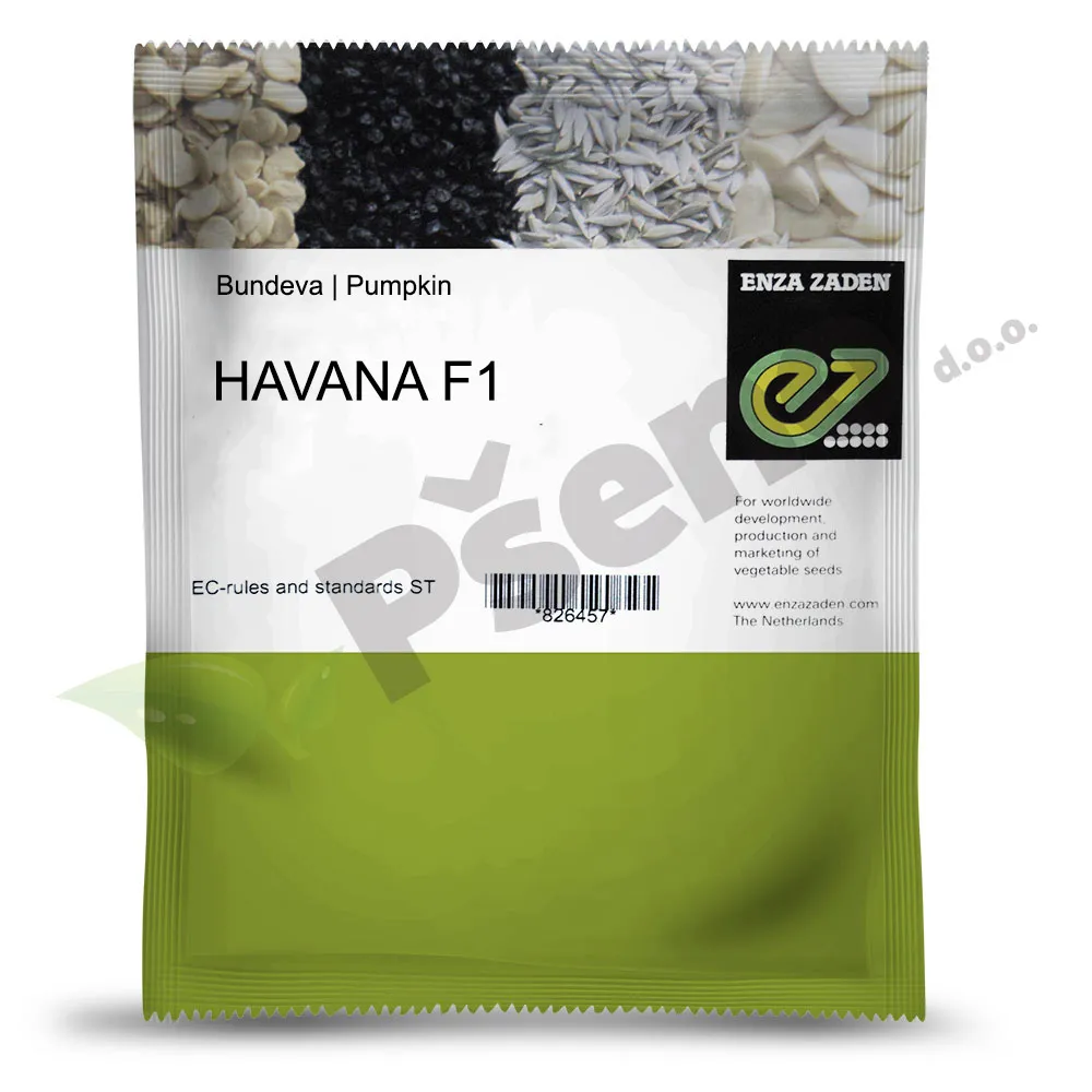 Bundeva HAVANA F1 Enza Zaden_Pseno