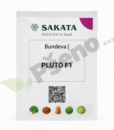 Bundeva-butternut