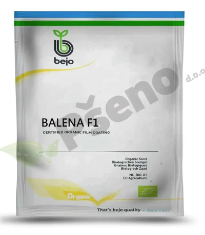 Celer-BALENA-F1-Bejo-Pseno-Organic