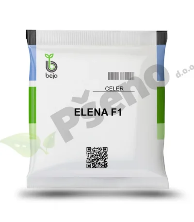 Celer Elena F1 Bejo Zaden_Pseno