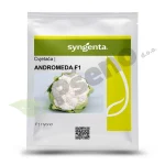 Cvjetaca ANDROMEDA F1 Syngenta_Pseno