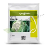 Cvjetaca BRUCE F1 Syngenta_Pseno