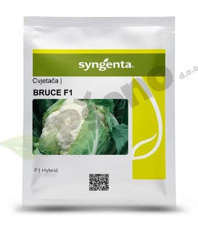 Cvjetaca BRUCE F1 Syngenta_Pseno