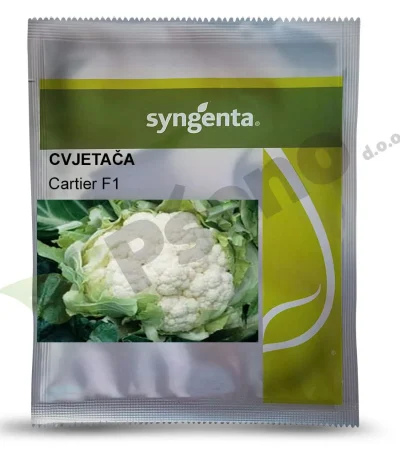 Cvjetaca CARTIER F1 Syngenta_Pseno