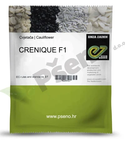 Cvjetaca CRENIQUE F1 Enza Zaden_Pseno