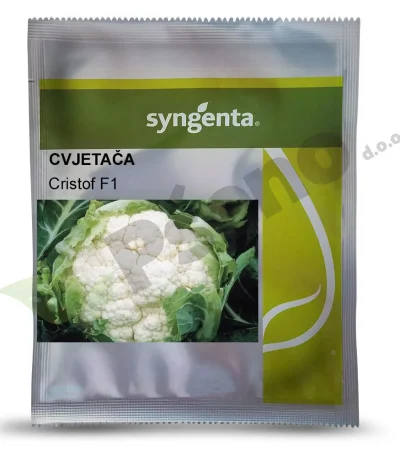 Cvjetaca CRISTOF F1 Syngenta_Pseno