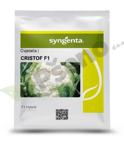 Cvjetaca CRISTOF F1 Syngenta_Pseno