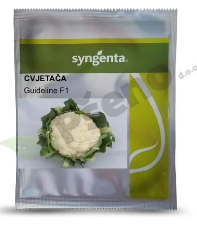 Cvjetaca GUIDELINE F1 Syngenta_Pseno