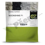 Cvjetaca MOONSHINE F1 Enza Zaden_Pseno