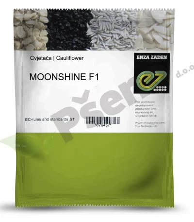 Cvjetaca MOONSHINE F1 Enza Zaden_Pseno