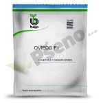 Cvjetaca OVIEDO F1 Bejo Zaden_Pseno