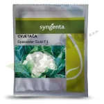 Cvjetaca SPACESTAR GOLD F1 Syngenta_Pseno