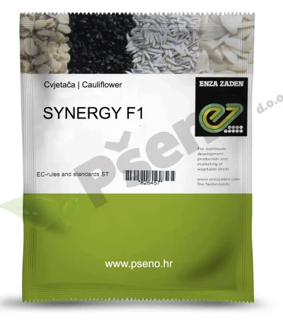 Cvjetaca SYNERGY F1 Enza Zaden_Pseno