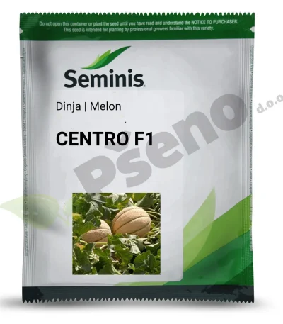 Dinja CENTRO F1 Seminis_Pseno