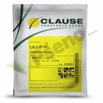 Dinja LILLO F1_Clause_Pseno