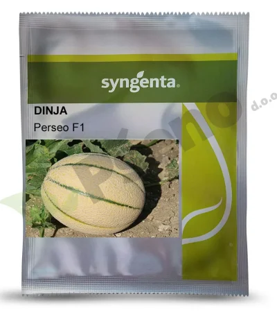 Dinja PERSEO F1 Syngenta_Pseno