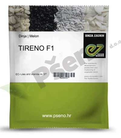 Dinja TIRENO F1 Enza Zaden_Pseno