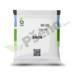Endivija Eros Bejo Zaden_Pseno