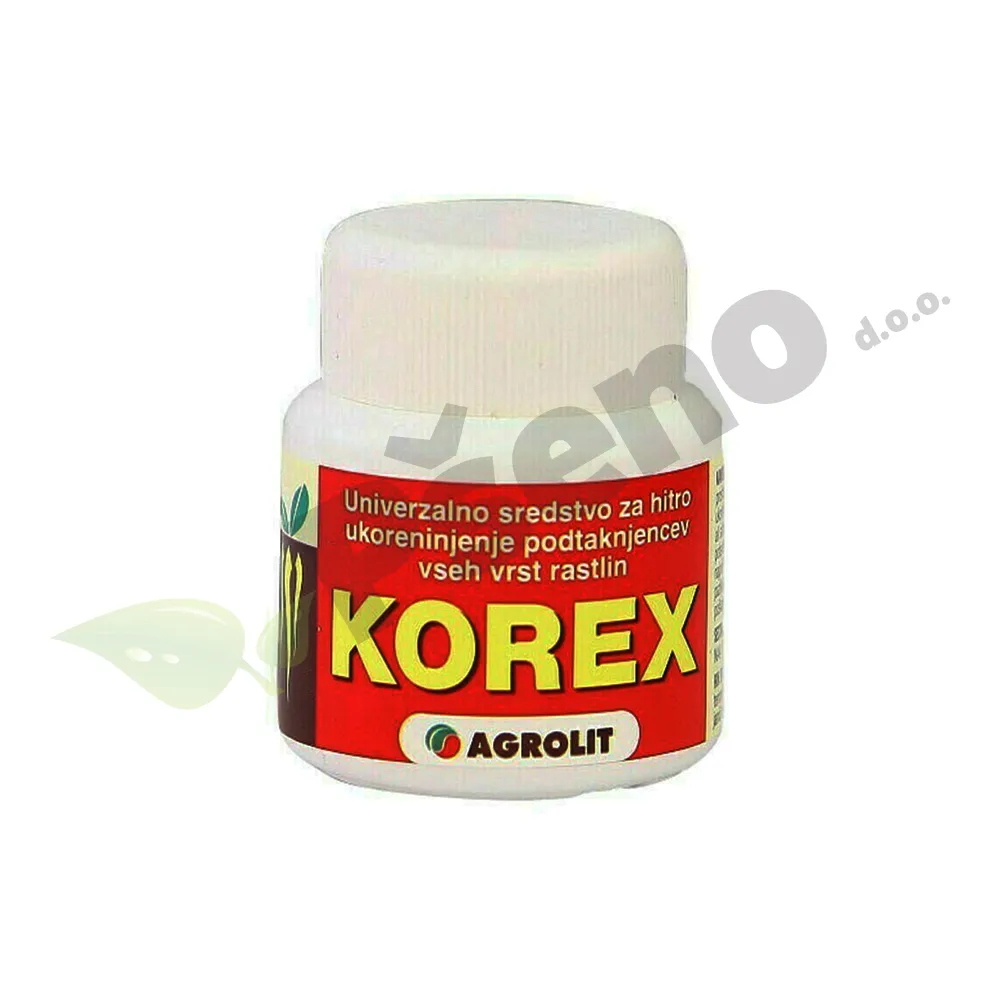 KOREX