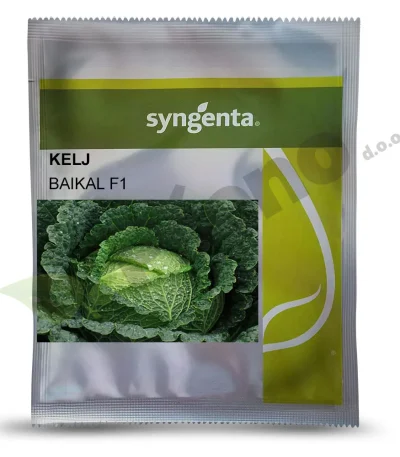 Kelj BAIKAL F1 Syngenta_Pseno