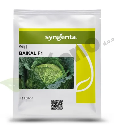 Kelj BAIKAL F1 Syngenta_Pseno