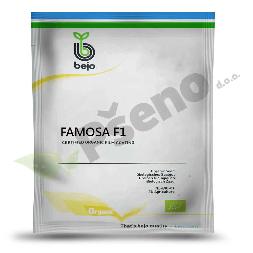 Kelj-FAMOSA-F1-Bejo-Pseno