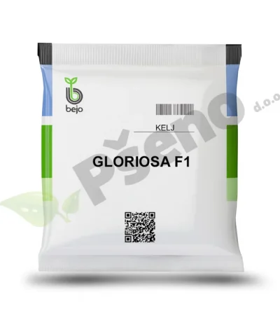 Kelj GLORIOSA F1 Bejo Zaden_Pseno