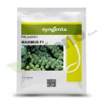 Kelj pupcar MAXIMUS F1 Syngetna_Pseno