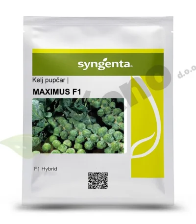 Kelj pupcar MAXIMUS F1 Syngetna_Pseno