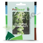 Kelj pupcar FRANKLIN F1 Proseed Bejo Zaden_Pseno