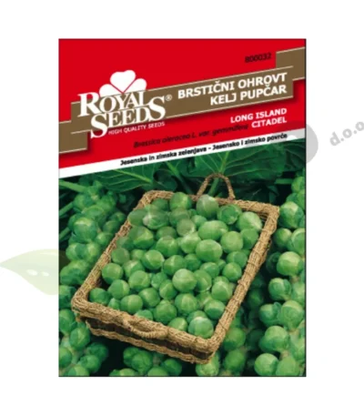 Kelj-pupcar-LONG-ISLAND-CITADEL-Royal-Seeds-Pseno