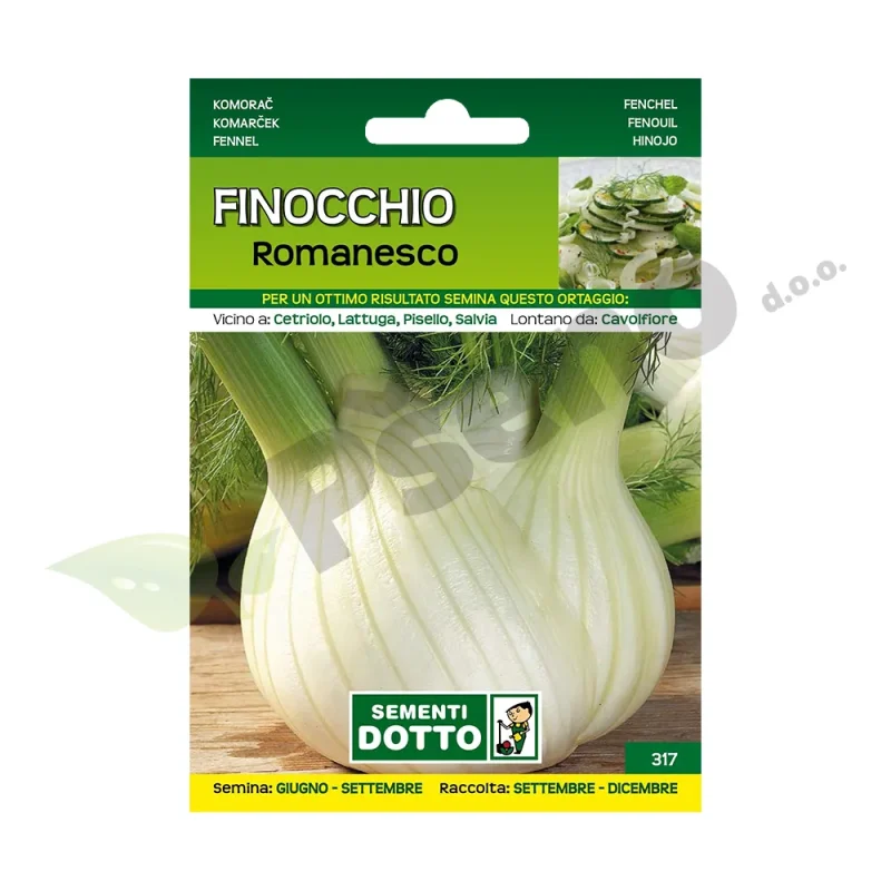 Komorač ROMANESCO