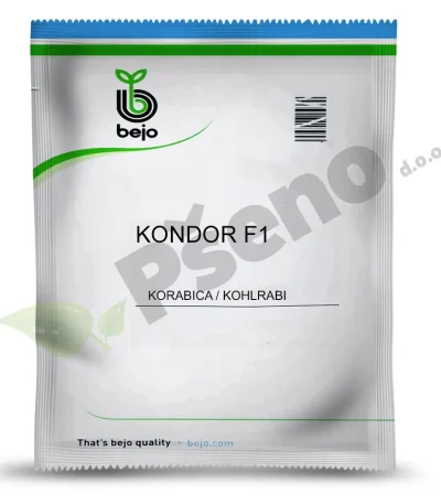 Korabica KONDOR F1 Bejo Zaden_Pseno