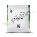 Korabica KORIST F1