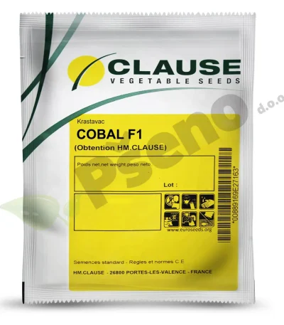 Krastavac COBAL F1 Clause_Pseno