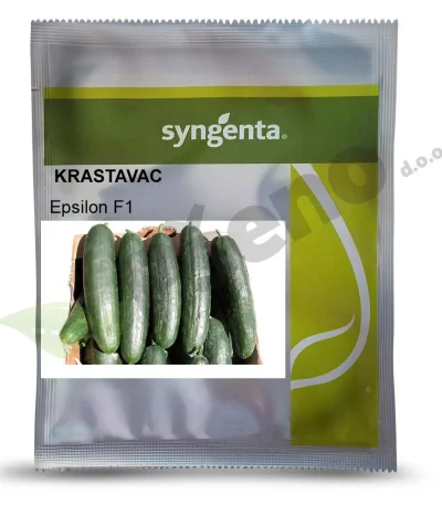 Krastavac EPSILON F1 Syngenta_Pseno