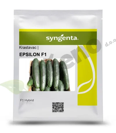 Krastavac EPSILON F1 Syngenta_Pseno