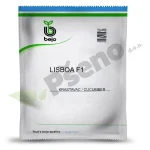 Krastavac LISBOA F1 Bejo Zaden_Pseno