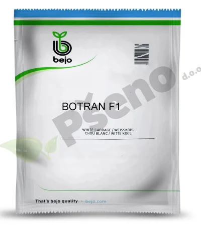 Kupus BOTRAN F1 Bejo Z