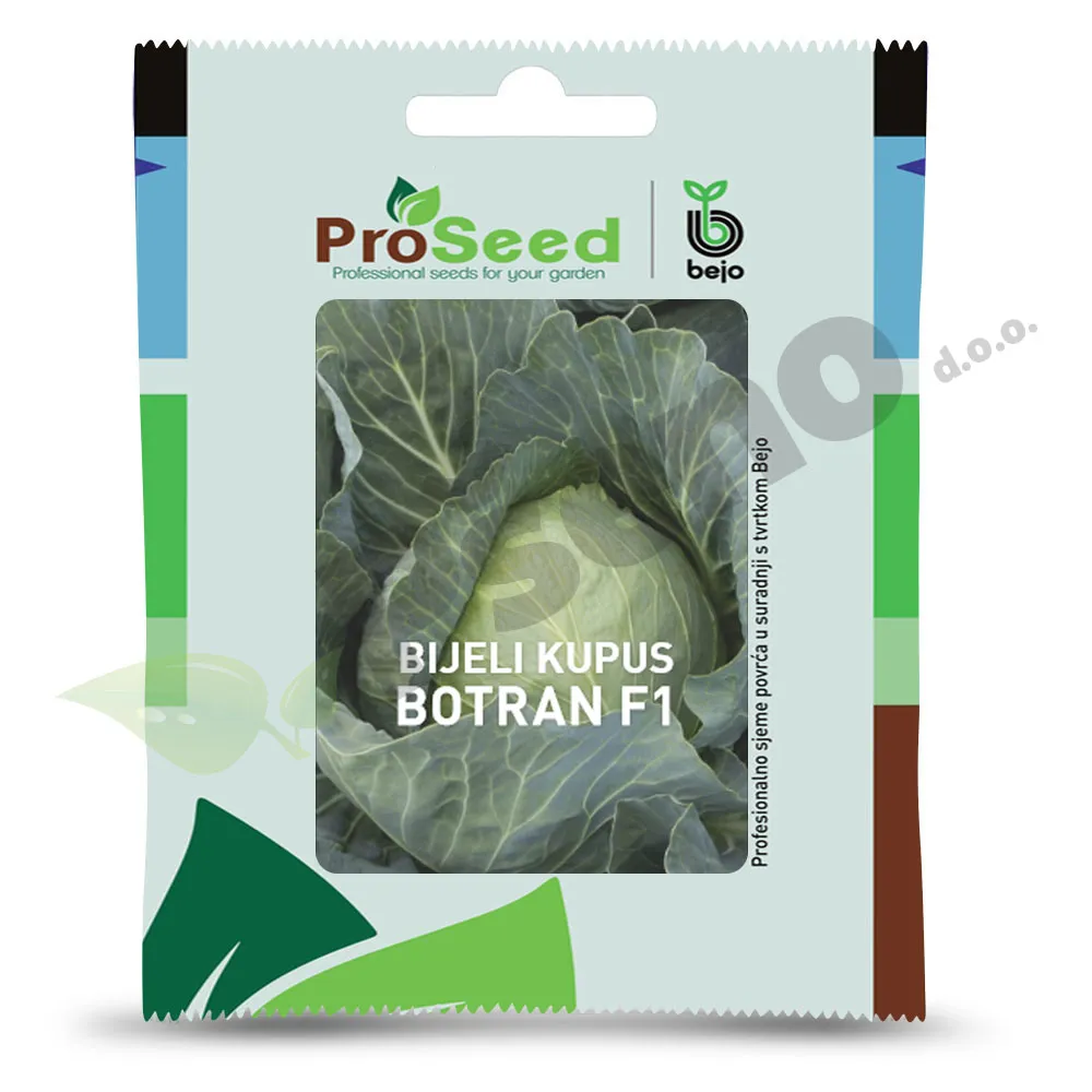 Kupus BOTRAN F1 Proseed Bejo Zaden_Pseno