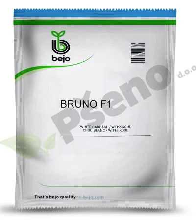 Kupus BRUNO F1 Bejo Zaden_Pseno