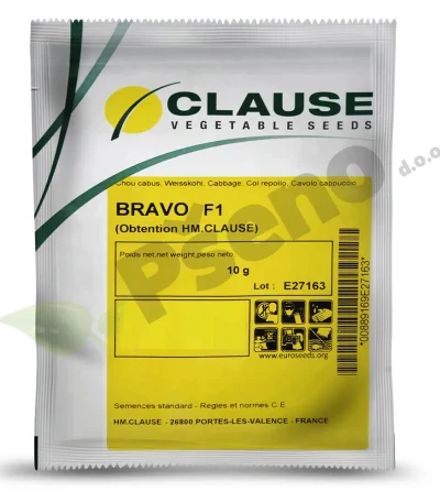 Kupus-Bravo-F1_Clause_Pseno