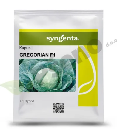 kupus gregorian f1 syngenta