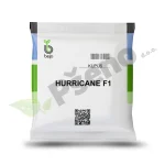 Kupus HURRICANE F1 Bejo Zaden_Pseno